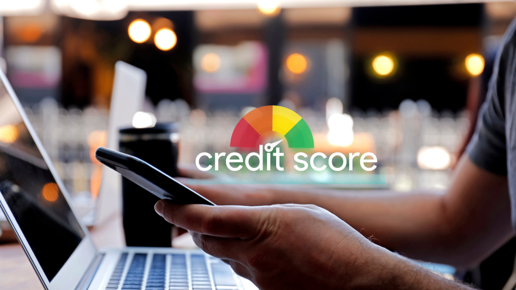 automated credit repair software