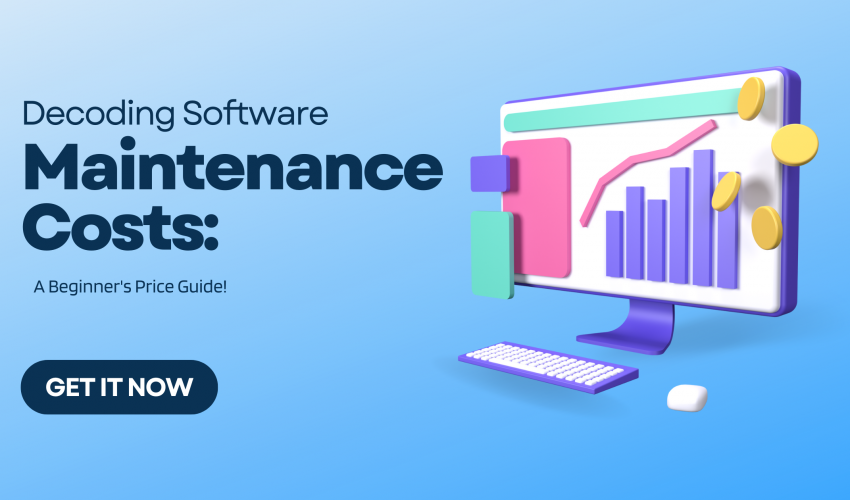 Software Maintenance Costs